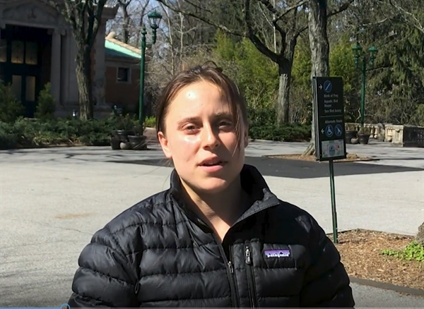 Videos: Bronx Zoo Animal Care Staff Continue Essential Work During